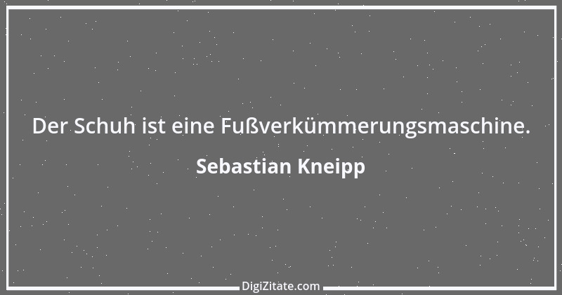 Zitat von Sebastian Kneipp 16