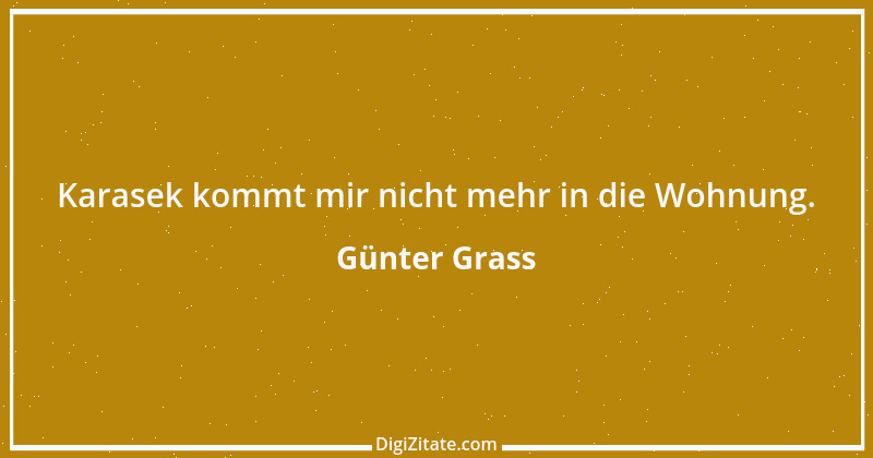 Zitat von Günter Grass 25