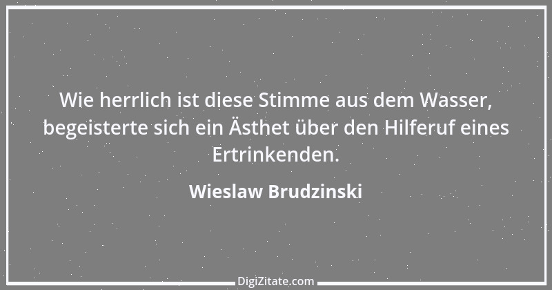 Zitat von Wieslaw Brudzinski 139