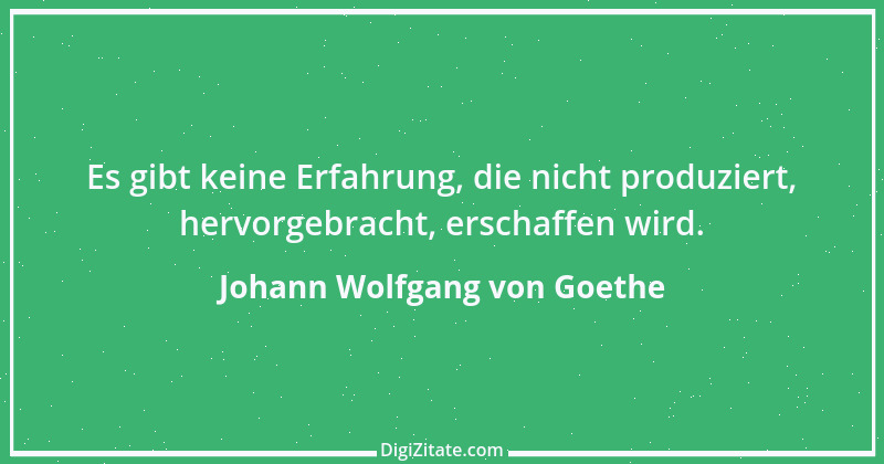 Zitat von Johann Wolfgang von Goethe 1347