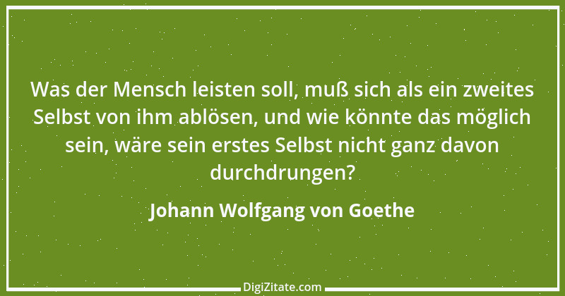 Zitat von Johann Wolfgang von Goethe 4347