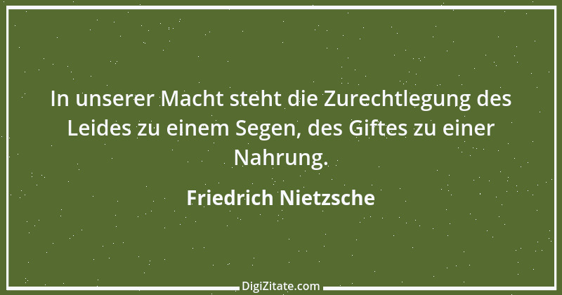 Zitat von Friedrich Nietzsche 285