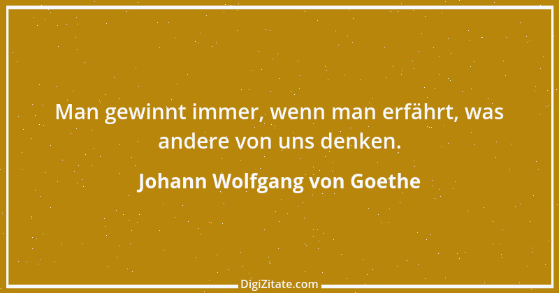 Zitat von Johann Wolfgang von Goethe 351