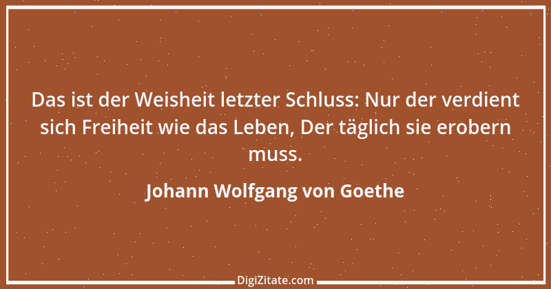 Zitat von Johann Wolfgang von Goethe 354