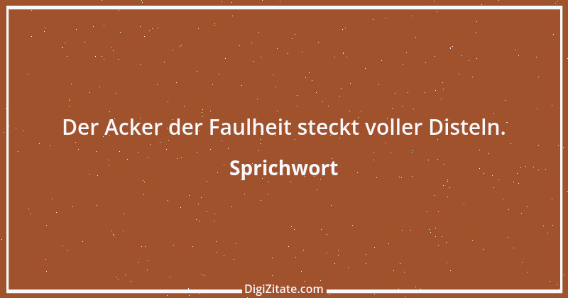 Zitat von Sprichwort 7346