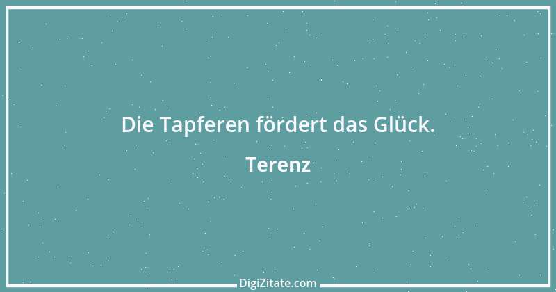 Zitat von Terenz 28