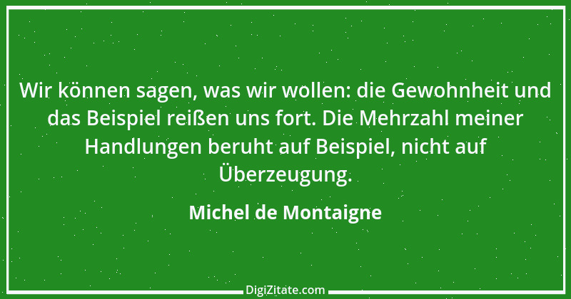 Zitat von Michel de Montaigne 43