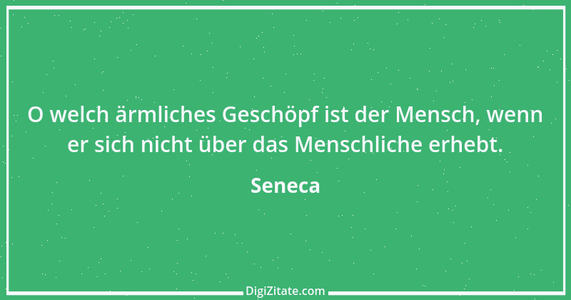 Zitat von Seneca 491