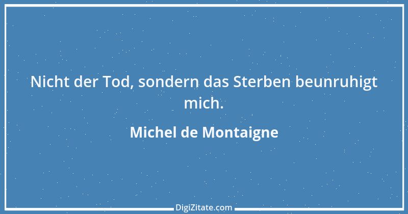 Zitat von Michel de Montaigne 477