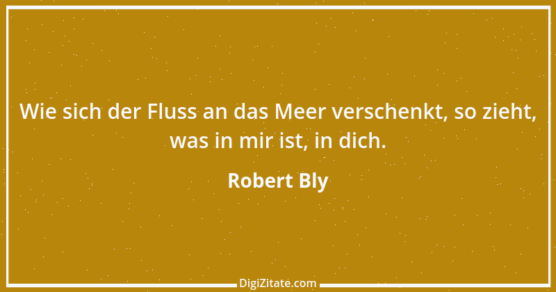 Zitat von Robert Bly 1