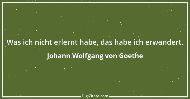 Zitat von Johann Wolfgang von Goethe 2356