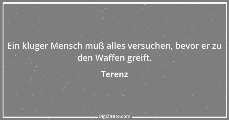 Zitat von Terenz 30