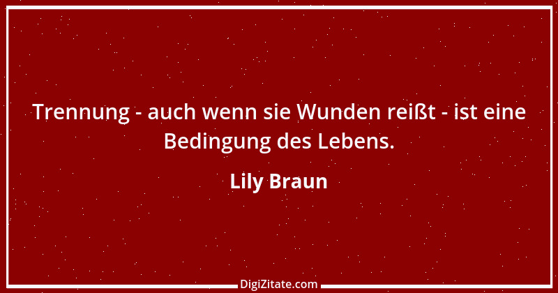 Zitat von Lily Braun 2