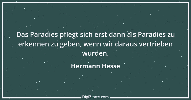 Zitat von Hermann Hesse 46