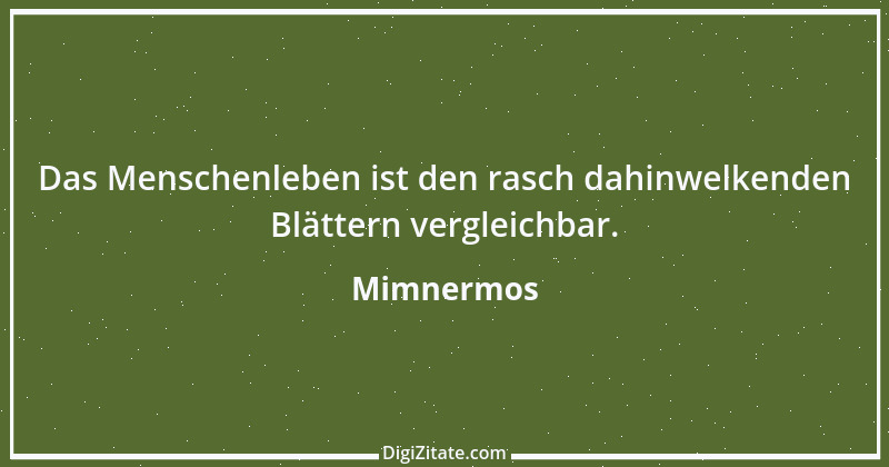 Zitat von Mimnermos 2