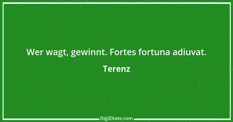 Zitat von Terenz 32