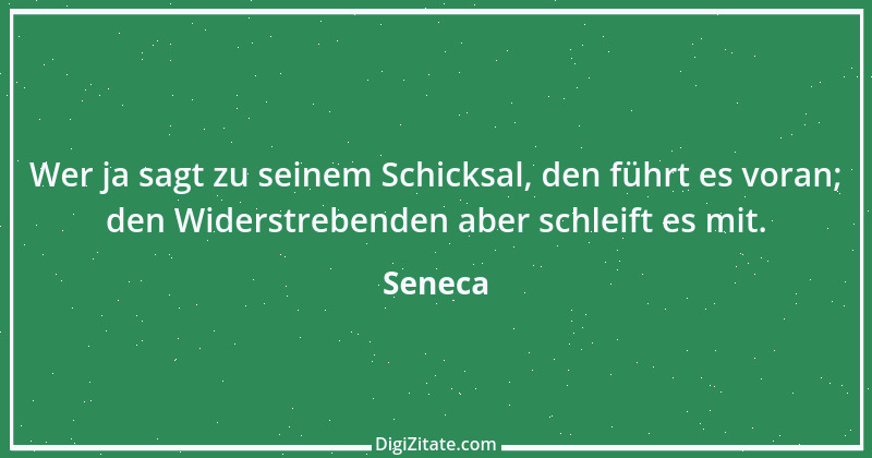 Zitat von Seneca 495