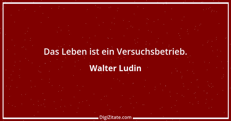 Zitat von Walter Ludin 861