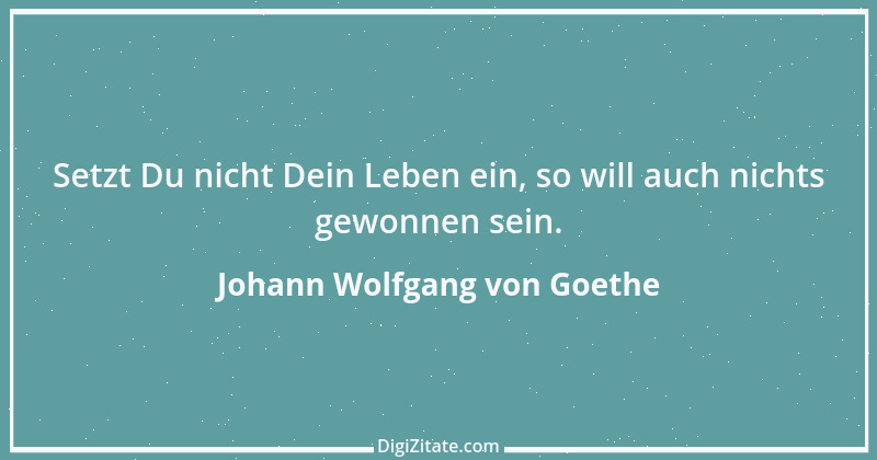 Zitat von Johann Wolfgang von Goethe 2360