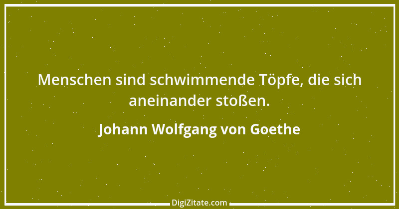 Zitat von Johann Wolfgang von Goethe 360