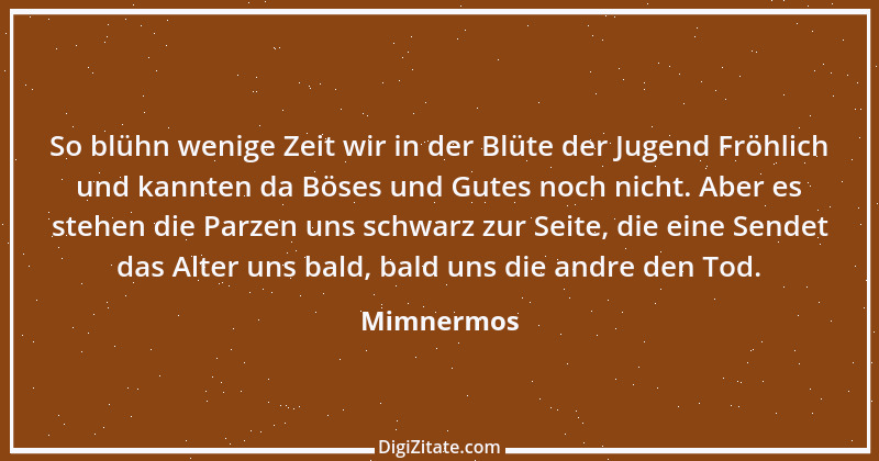 Zitat von Mimnermos 4