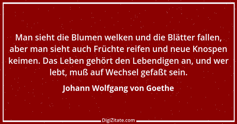 Zitat von Johann Wolfgang von Goethe 3361