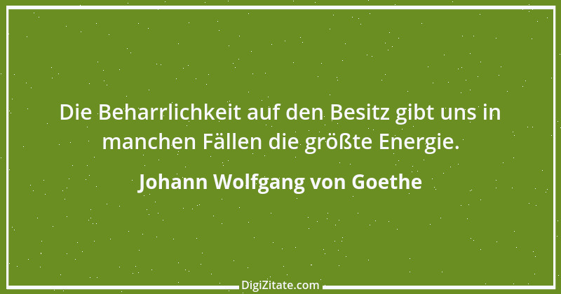 Zitat von Johann Wolfgang von Goethe 361