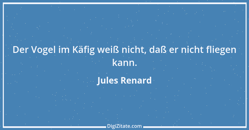 Zitat von Jules Renard 41