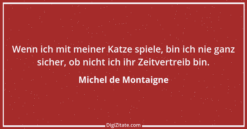 Zitat von Michel de Montaigne 49