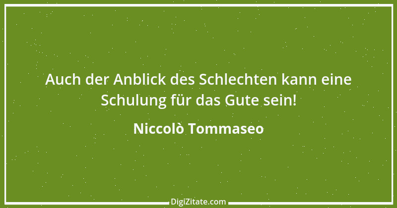 Zitat von Niccolò Tommaseo 11