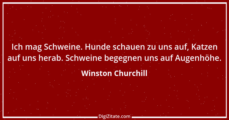 Zitat von Winston Churchill 39