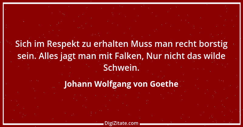 Zitat von Johann Wolfgang von Goethe 364