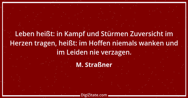 Zitat von M. Straßner 1