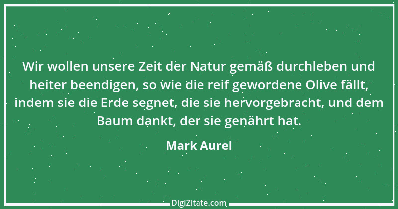 Zitat von Mark Aurel 121