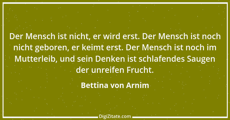 Zitat von Bettina von Arnim 45