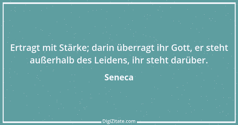 Zitat von Seneca 502