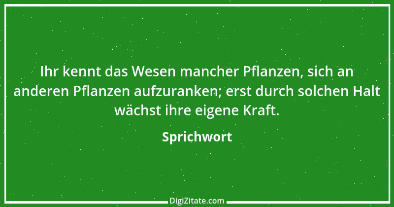 Zitat von Sprichwort 8358