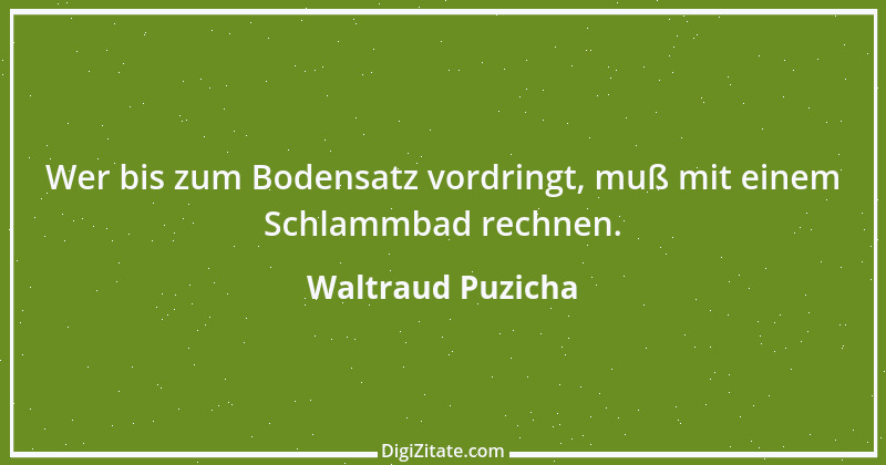 Zitat von Waltraud Puzicha 16