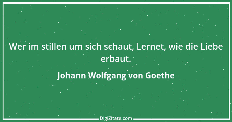 Zitat von Johann Wolfgang von Goethe 1367