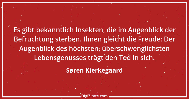 Zitat von Søren Kierkegaard 110