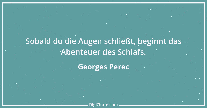 Zitat von Georges Perec 1