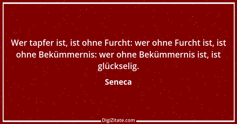 Zitat von Seneca 505