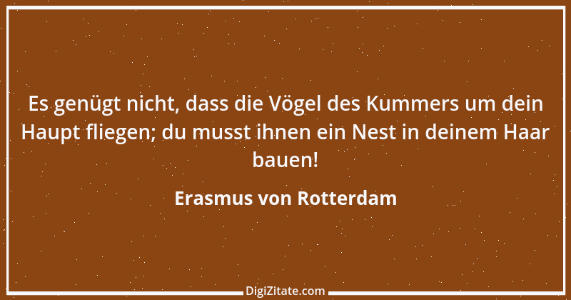 Zitat von Erasmus von Rotterdam 20