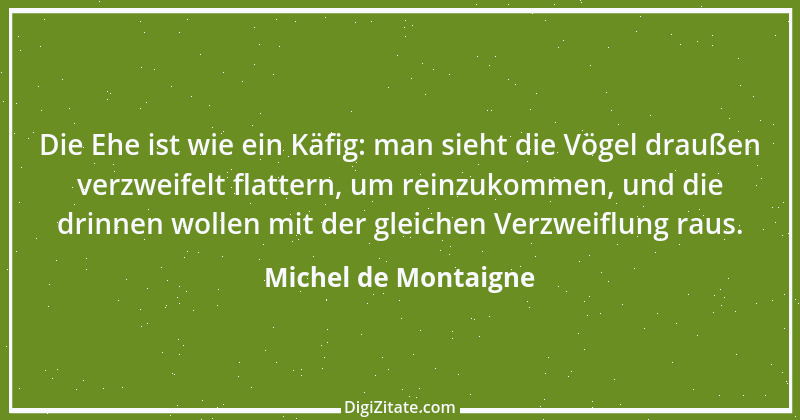 Zitat von Michel de Montaigne 58