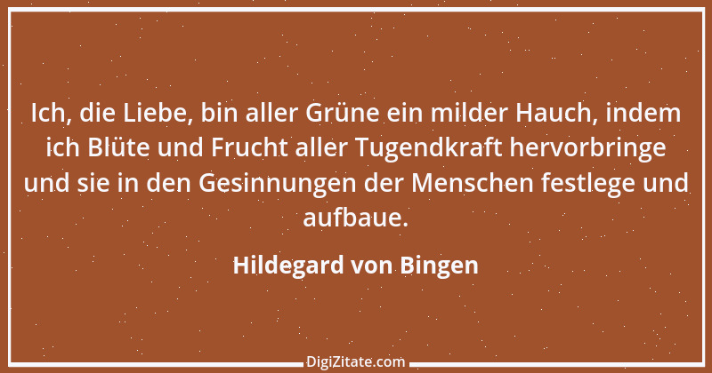 Zitat von Hildegard von Bingen 7