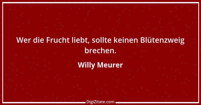 Zitat von Willy Meurer 673