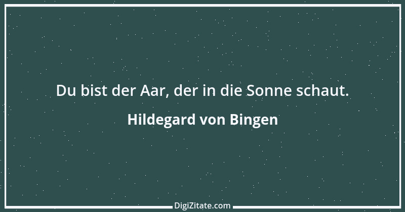 Zitat von Hildegard von Bingen 9