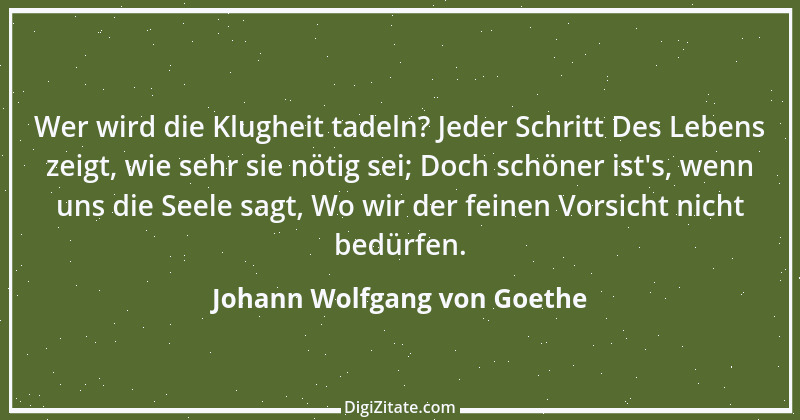 Zitat von Johann Wolfgang von Goethe 374