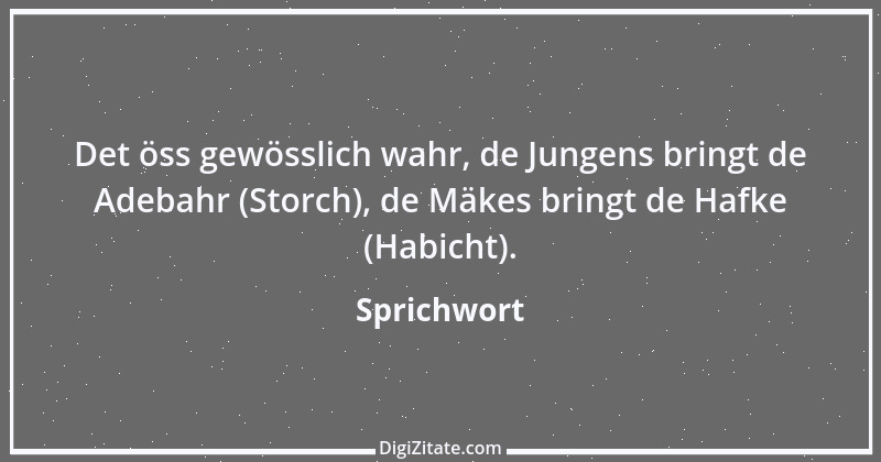 Zitat von Sprichwort 367