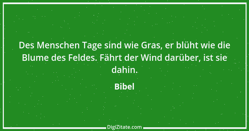 Zitat von Bibel 2826